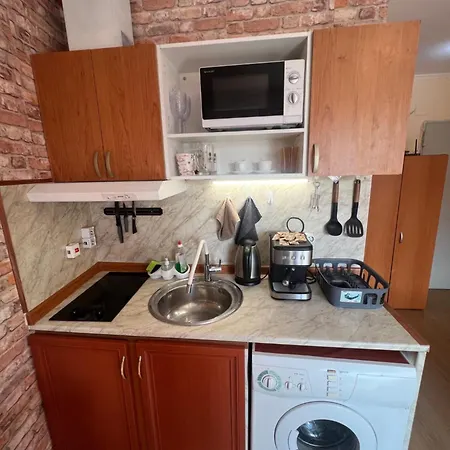 Apartament Studio Vili