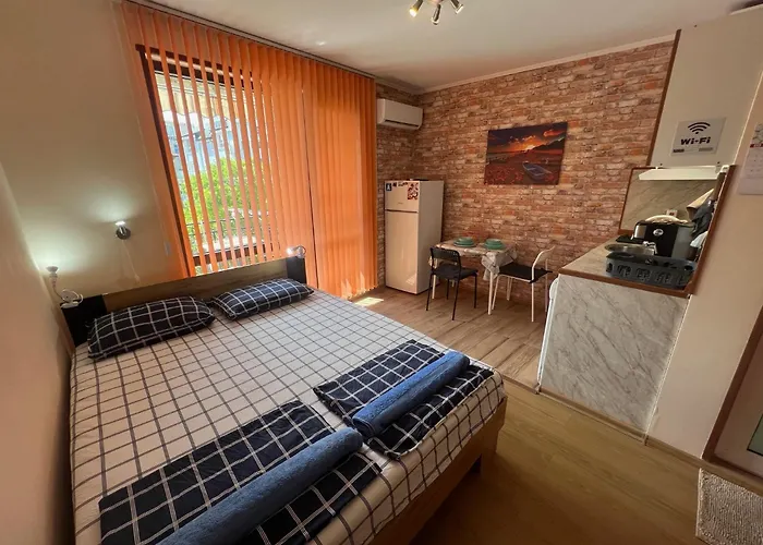 Studio Vili Apartament *